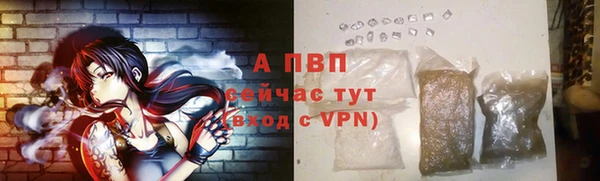 тгк Вяземский