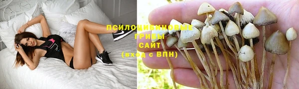 тгк Вяземский