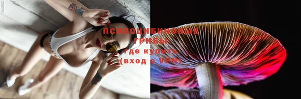jwh Вязьма