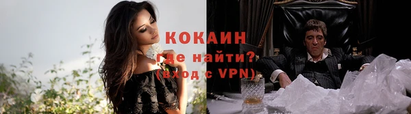 тгк Вяземский